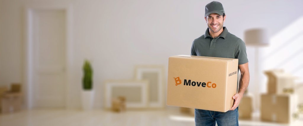 Professional Packers And Movers In Dubai