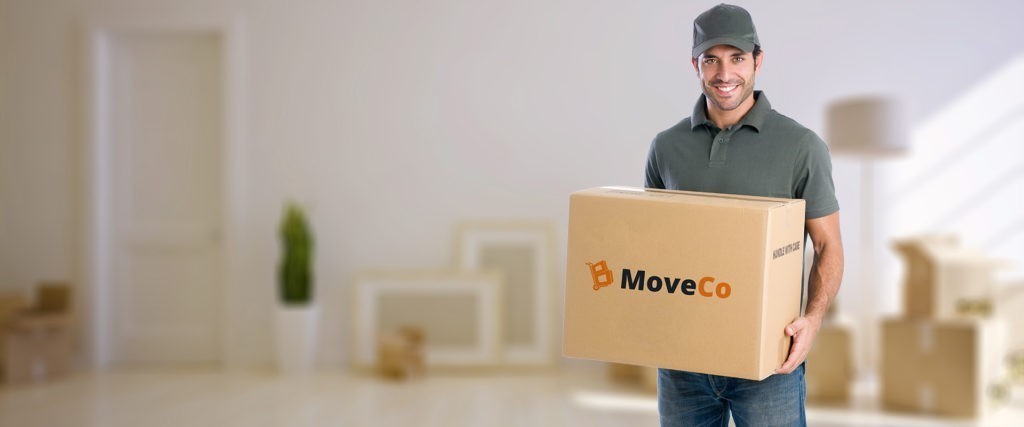 Professional Movers 